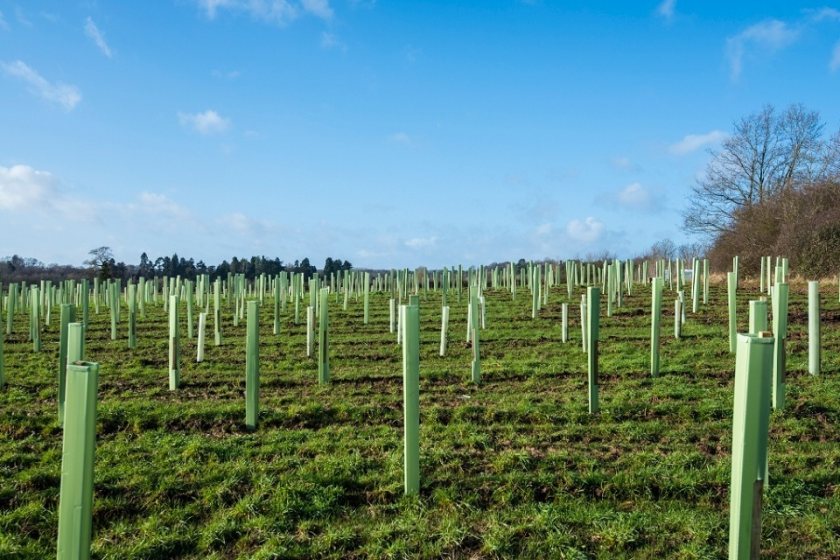 Defra has unveiled increased payment rates for farmers and landowners planting new woodland (Photo: Defra)