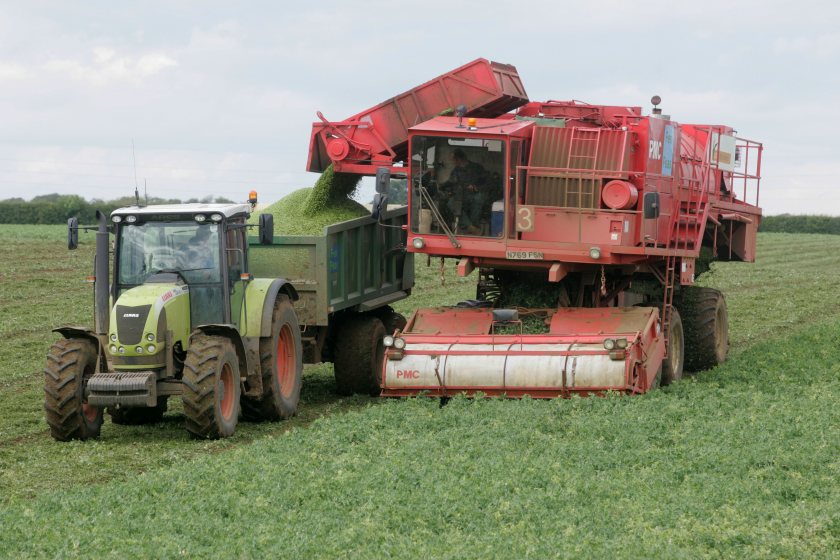 The benefit to the industry is estimated to be £30m if 80% of growers adopt the technology (Photo: PGRO)
