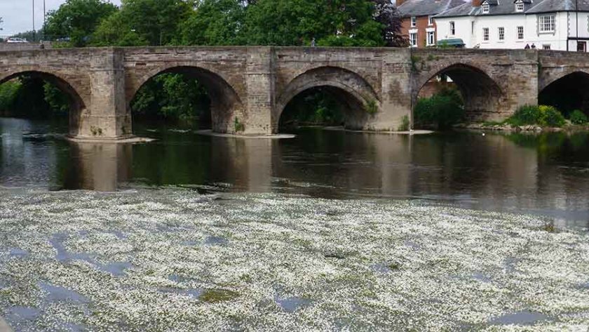'Industrial scale chicken farming' is polluting the River Wye, lawyers say (Photo: Phil Wilson)