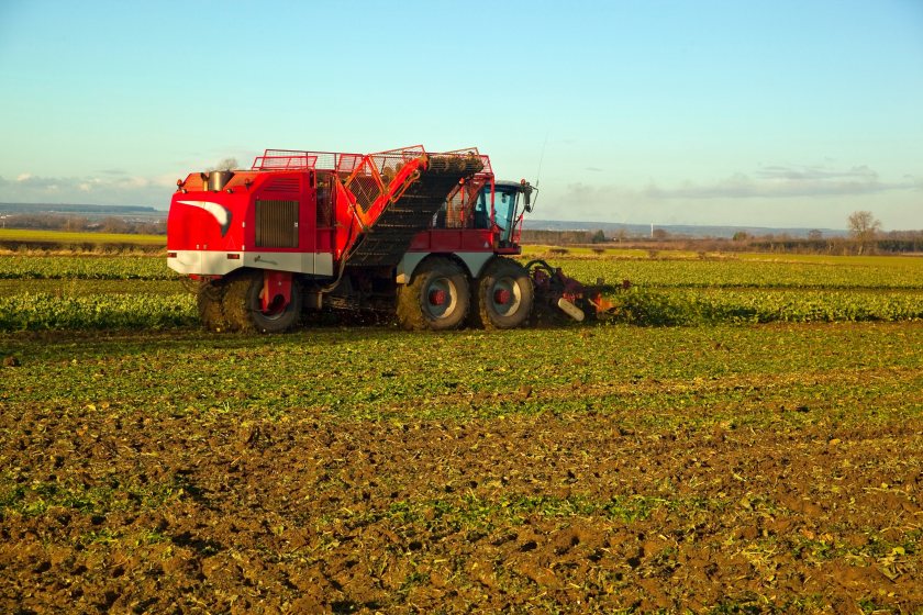 This year's sugar beet campaign has coincided with one of the wettest autumn and winter periods on record