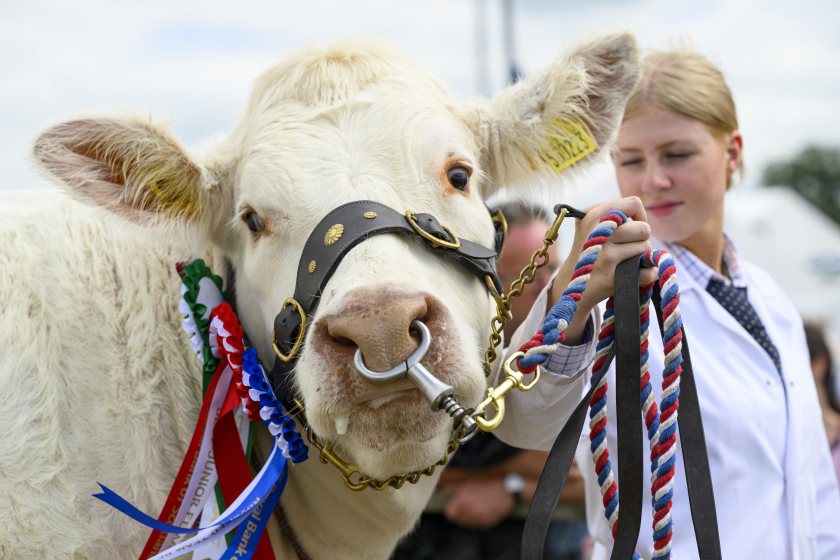 The closing date for cattle, sheep, goats, heavy horse, and light horse entries is 19 April