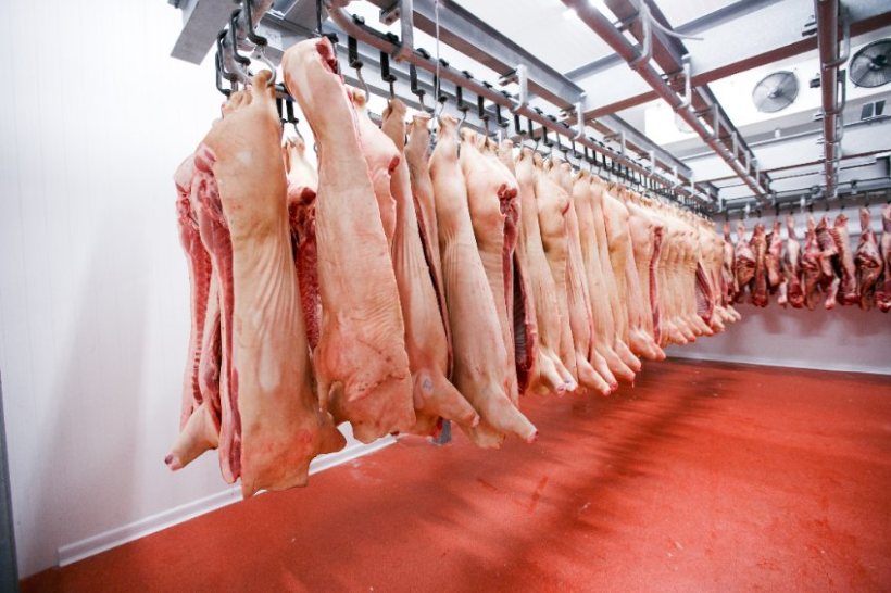 Pig slaughter numbers have plummeted while the EU-spec SPP has dropped back again
