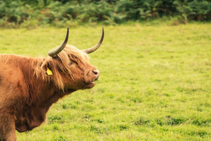 Farmers and crofters will have to deliver new things in return for basic payments next year