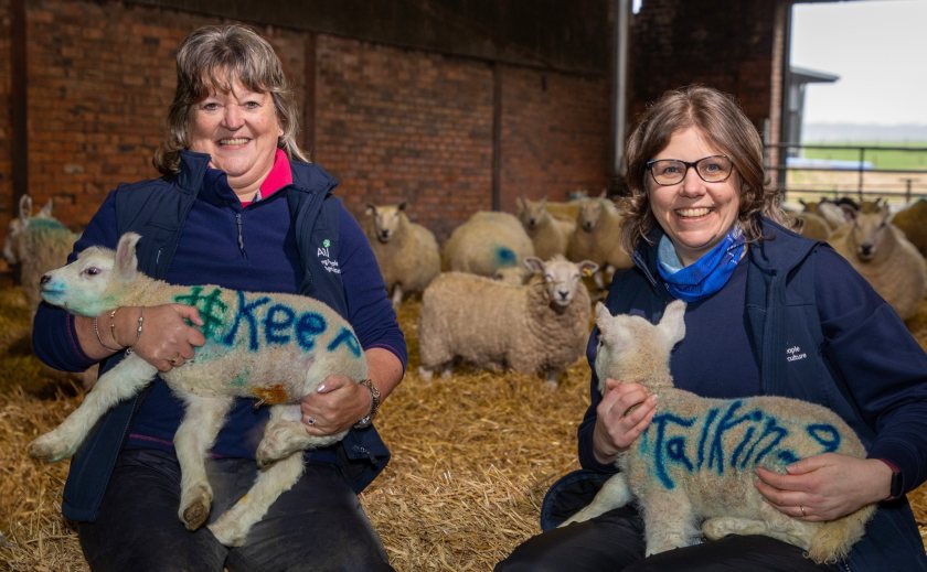 RSABI is encouraging people to try find time, even during lambing, calving and sowing, to look out for each other