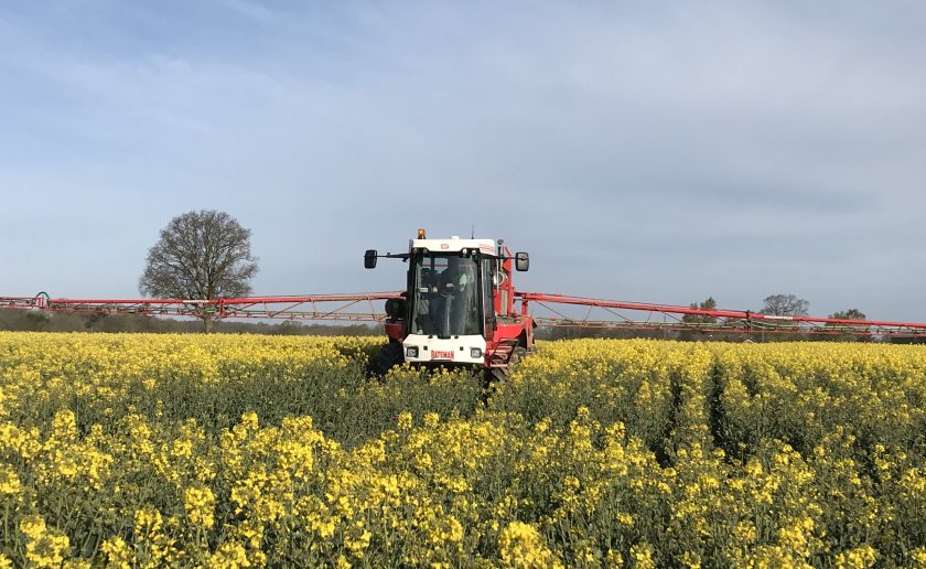 Sclerotinia disease can reduce yields by 50% or result in complete loss through plant death