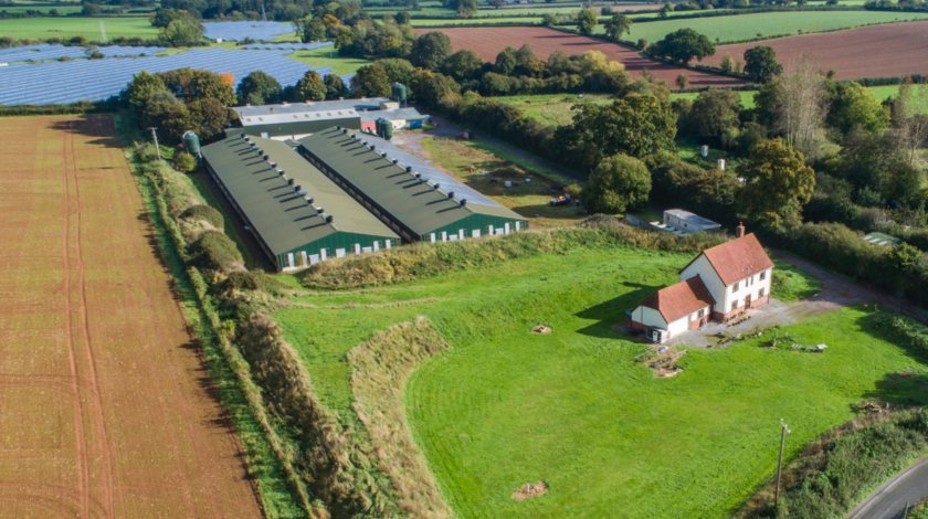 Millford Farm is being offered for sale with a guide price of £2.6m (Photo: Carter Jonas)