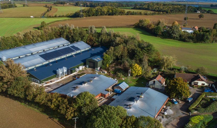 Knaplock Poultry Farm is being offered for sale with a guide price of £2.3m (Photo: Carter Jonas)