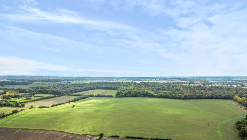 Hempstead Wood is a substantial block of woodland