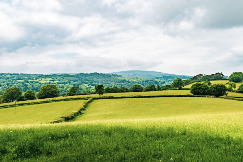 A basic income for farmers would be a regular, unconditional cash payment made directly to farmers and agricultural workers