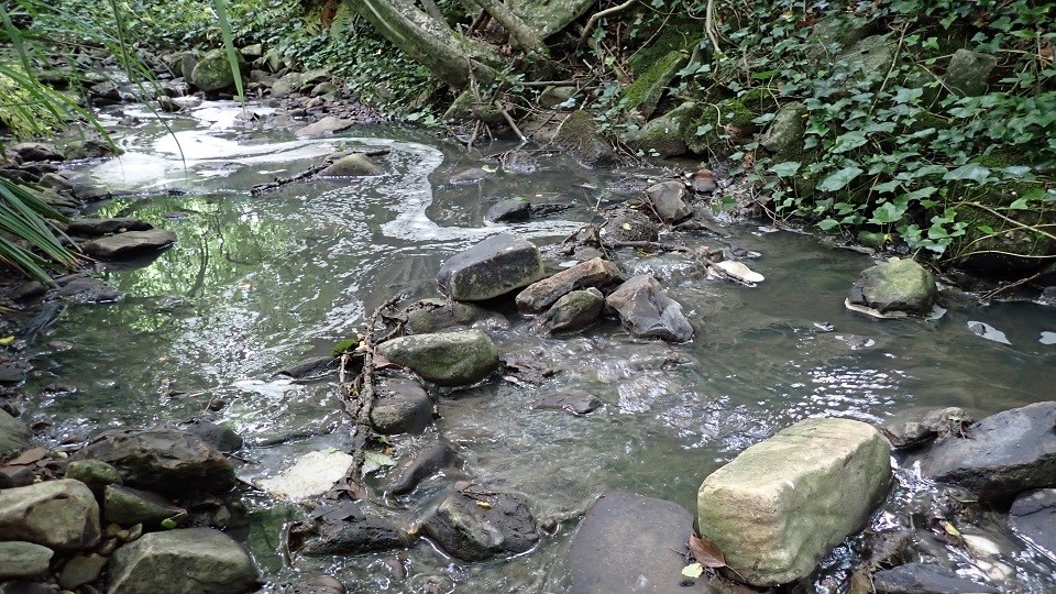 A Somerset farmer has been fined after silage polluted Fivehead River (Photo: Environment Agency)