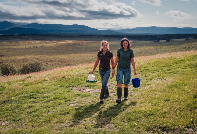 The pair were six years into running a 150-acre croft when they realised they needed to rethink their work-life balance