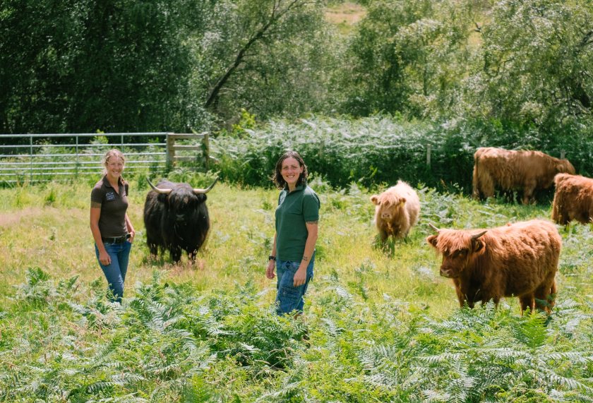 The pair describe the first six years on the croft as “running on adrenaline”