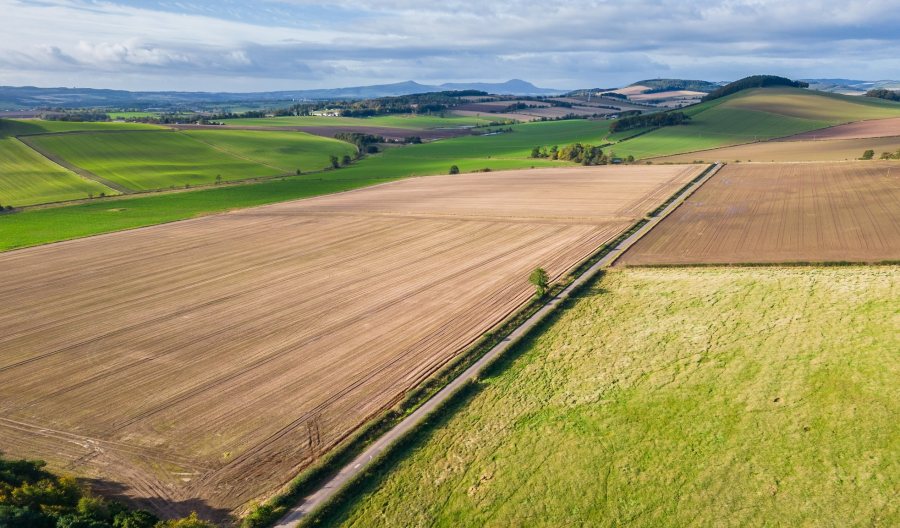 The arable land at Denbrae Farm is well suited to growing a wide range of crops (Photo: Galbraith)
