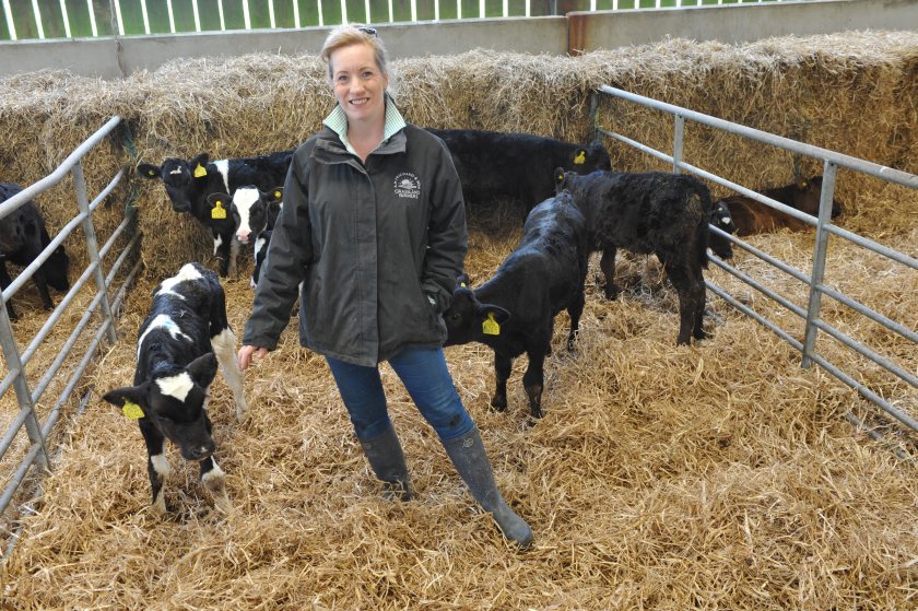 The Prichards were keen to trial this feeding system in their own herd in the hope of boosting health and wellbeing