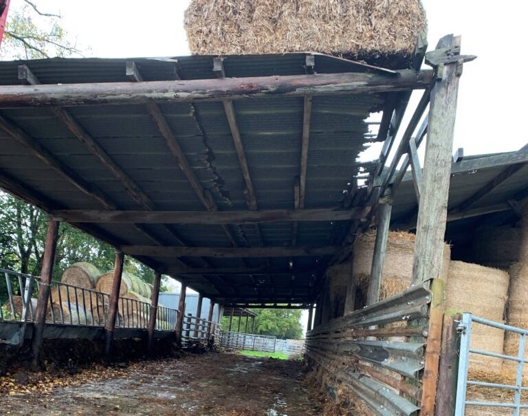 The farm's barn was deemed unsafe due to its poor structural state, HSE said (Photo: HSE)