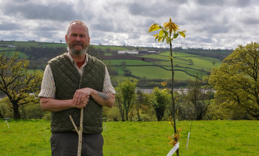 It is likely to be five years before Martyn Williams's trees produce any quantity of nuts, if indeed they do