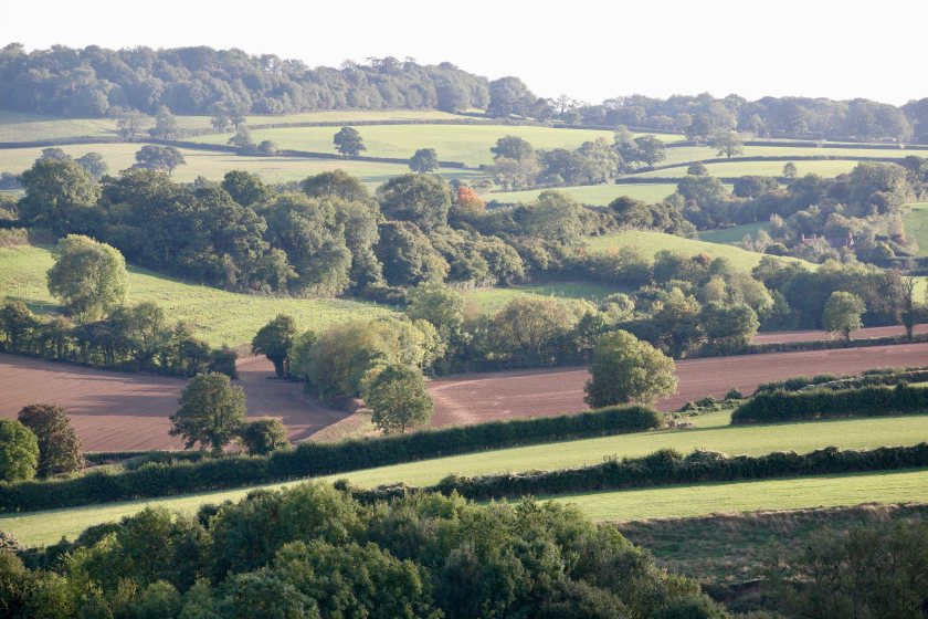 Godminster Organic Farm, based in Bruton, Somerset, is one farm taking part in the new project