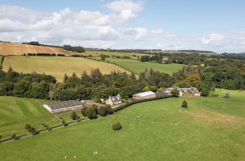 Grey Peel has been successful in producing high-quality pedigree Texel sheep stock