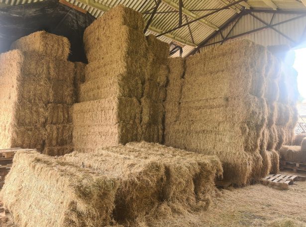 Christopher Rolfe was crushed underneath five hay bales weighing 600kg (Photo: HSE)