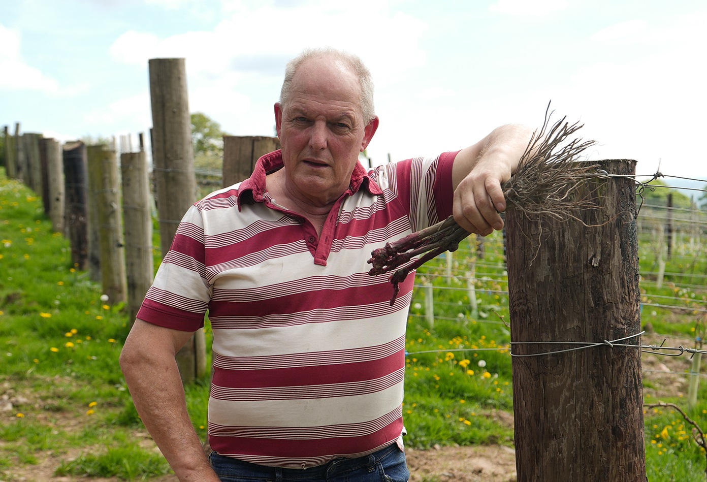 Geoffrey admitted he had "no knowledge whatsoever" of growing grapes