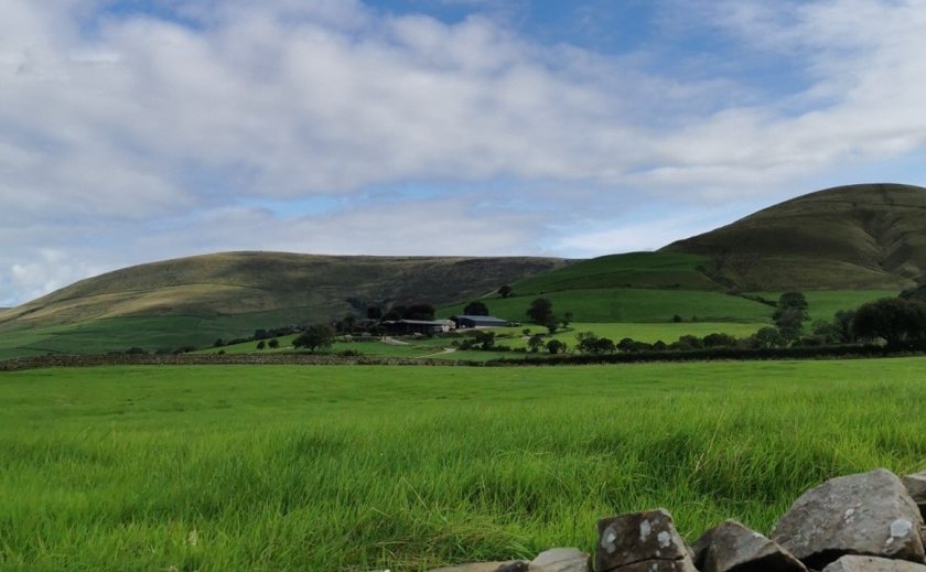 The two-year trial aims to see the longer roots of the herbal leys improve the soil structure at a deeper level