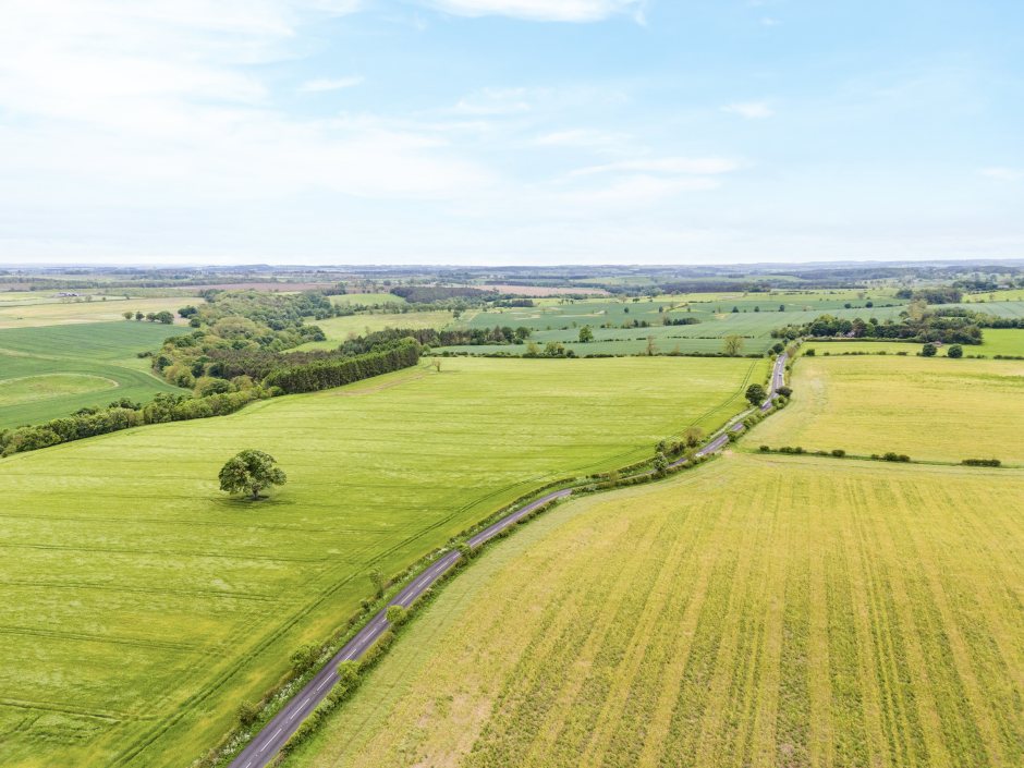 In recent times, the land has produced cereal crops in rotation (Photo: Galbraith)