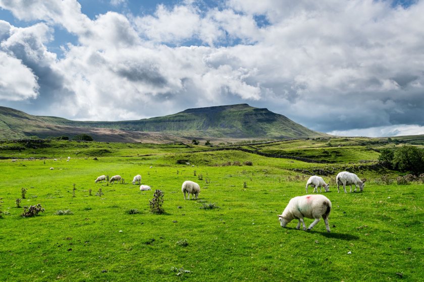 Northern Irish farm leaders have put forward three asks of the next UK government