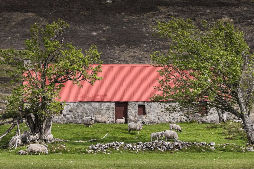 There are around 20,000 crofts across the crofting counties of Scotland