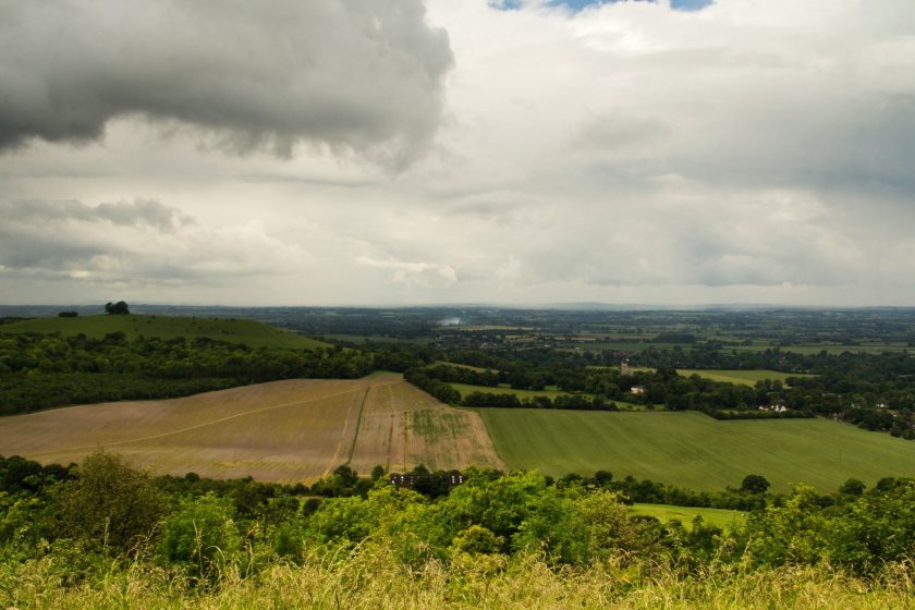 'TIFF' is the total profit from all UK farming businesses on a calendar year basis