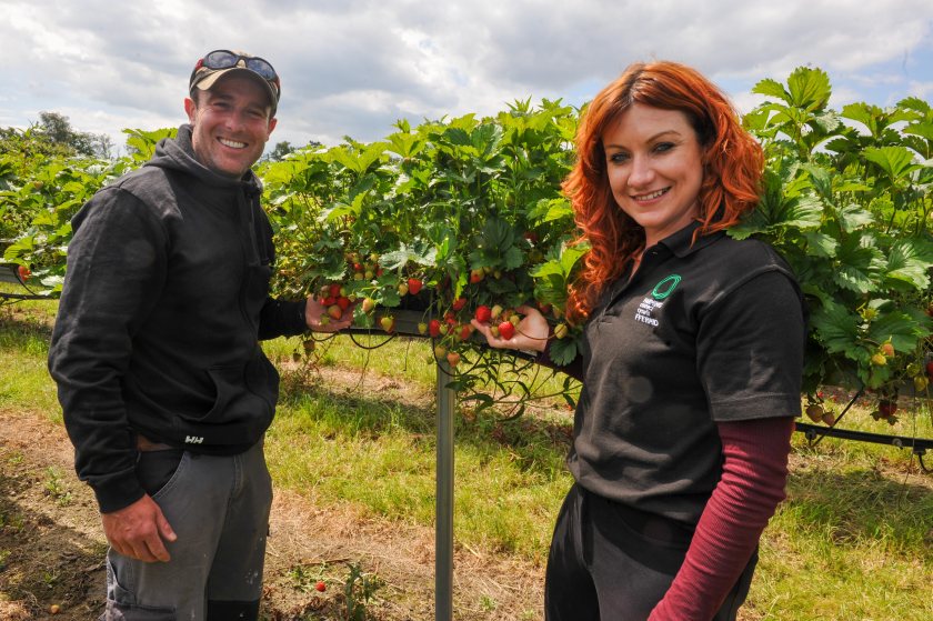 Farm manager Adrian Marks says more environmentally friendly thrips controls are needed