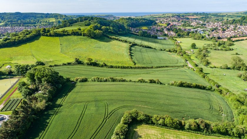With an increase in available land, buyers have regained some leverage