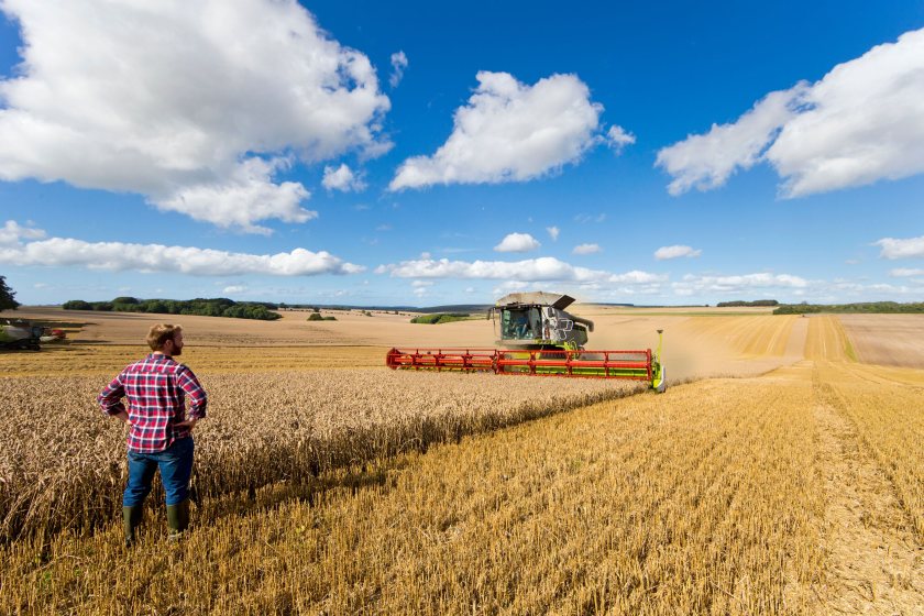 Farmers should be mindful of the risks associated with hiring temporary workers (Photo: Lycetts)