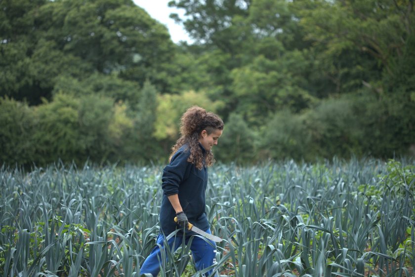 Campaigners have highlighted the 'vulnerability' of the UK's horticulture sector