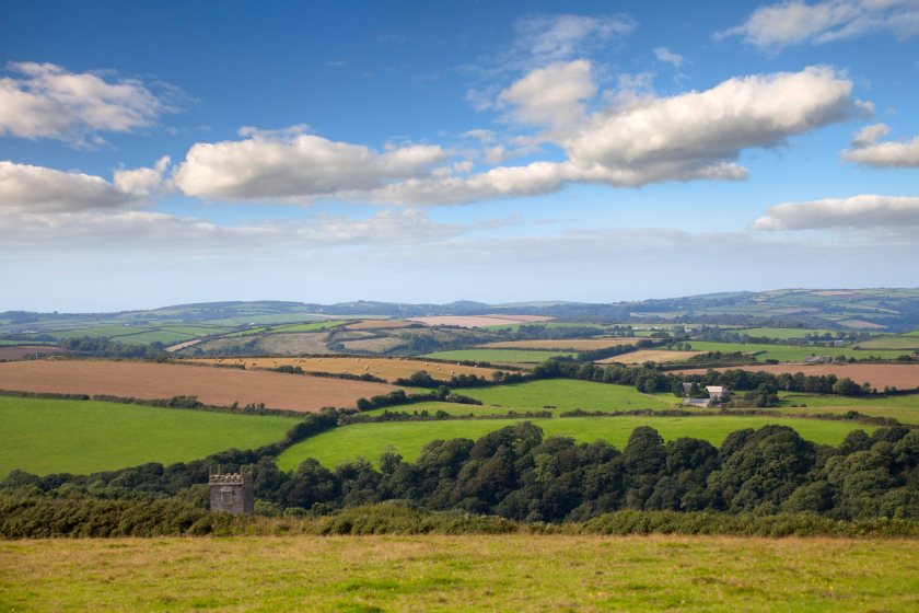 Delinked payments are replacing the BPS in England in 2024 and will run until the end of 2027