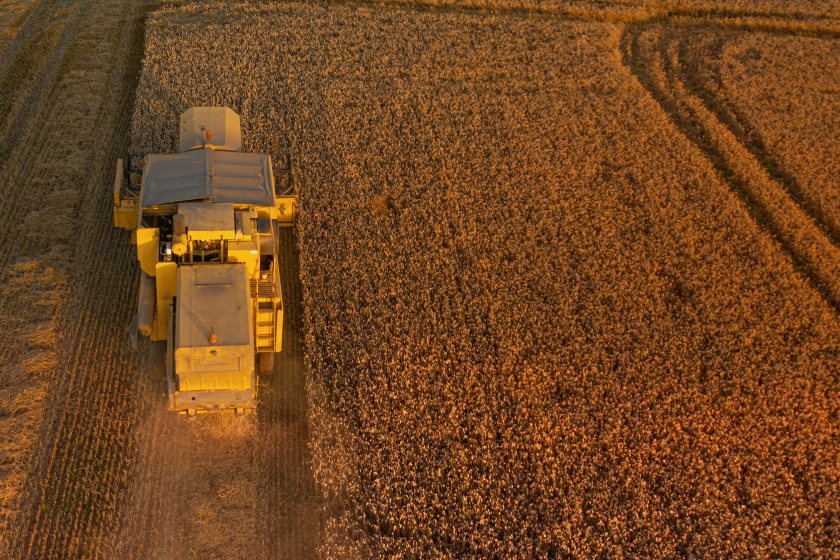 Lower winter yields were generally expected after such challenging planting and early growing conditions