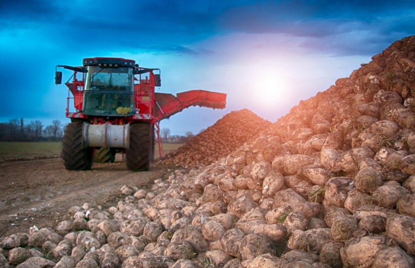 British Sugar is the sole processor of the UK’s beet sugar crop, working with around 2,300 growers