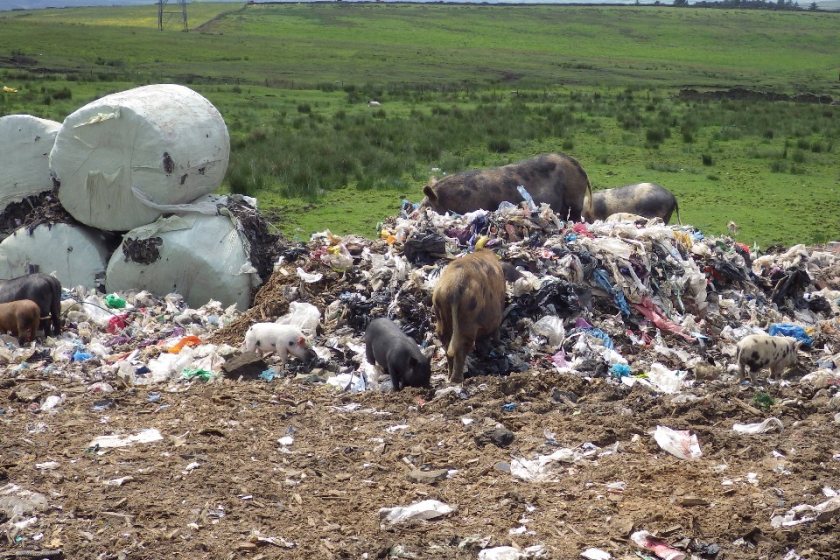 Around 1,000 tonnes of baled waste was illegally deposited at Heald Top Farm, in Lancashire
