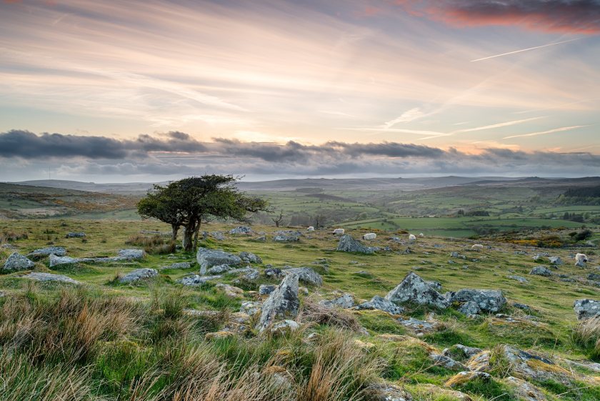 Wild Justice's judicial review aims to clarify how the DCC should be exercising its statutory duties