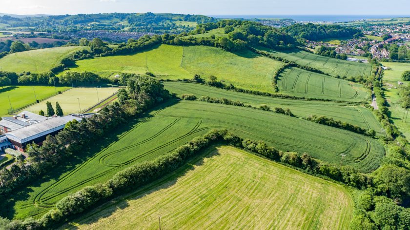 Land at Watton Hill (Photo: Carter Jonas)