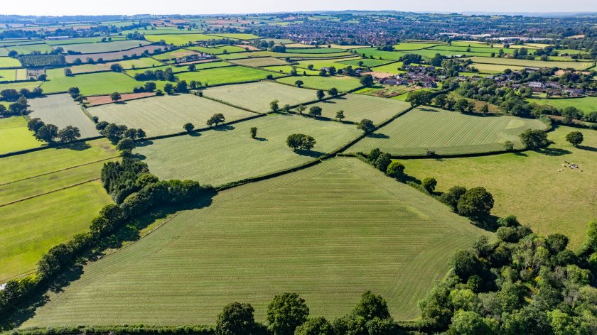 Land at Forton (Photo: Carter Jonas)