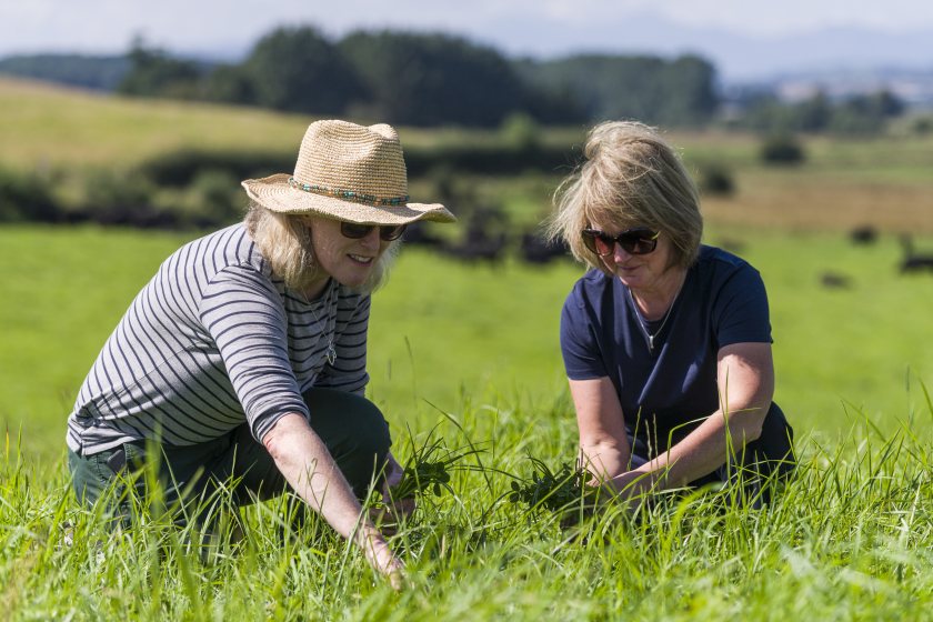 The SFBS has been running since the 1930s and is a detailed economic study of 400 farm businesses