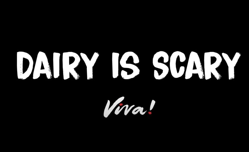(Photo: Viva!)