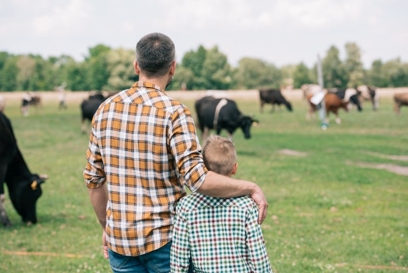 Family farms have cut jobs and investment in response to changes in BPR and APR, research shows