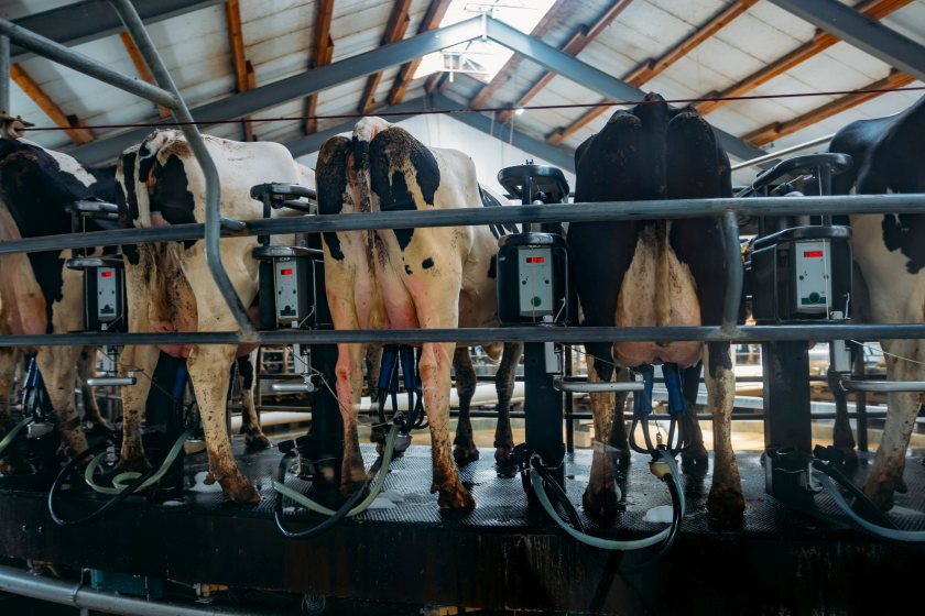 Farms will receive a tailored action plan, one-on-one support and a farm liaison officer