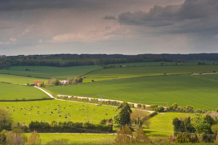 Farmland values have stayed firm, though buyers are becoming more discerning