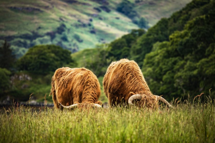 The role comes at a critical time, as farmers continue to face mounting mental health pressures