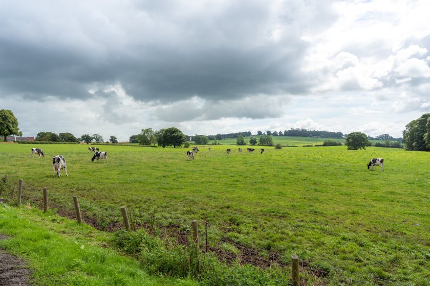 The 130-hectare Acrehead farm is now open for a five to ten year arrangement