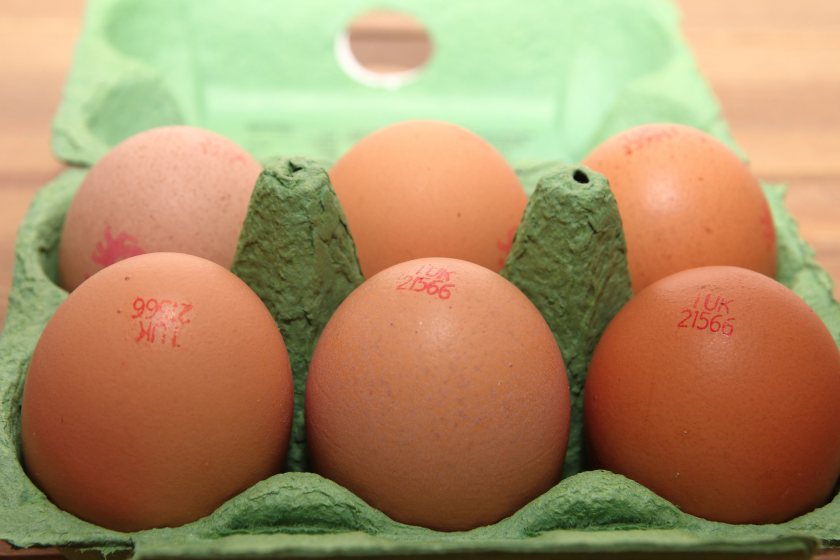 Offences include the extension or alteration of egg 'best before' dates and breaches of labelling standards
