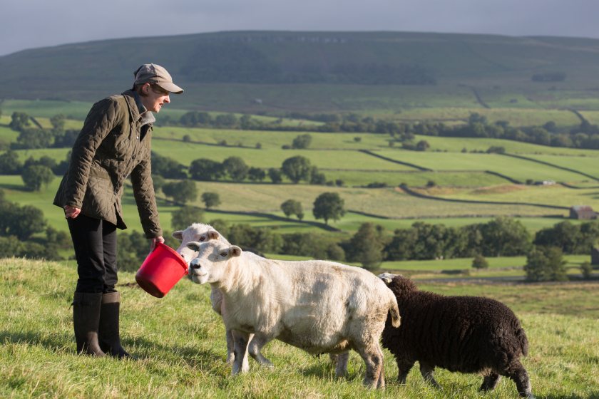 Almost two in every three Yorkshire farmers fear for the future viability of their business