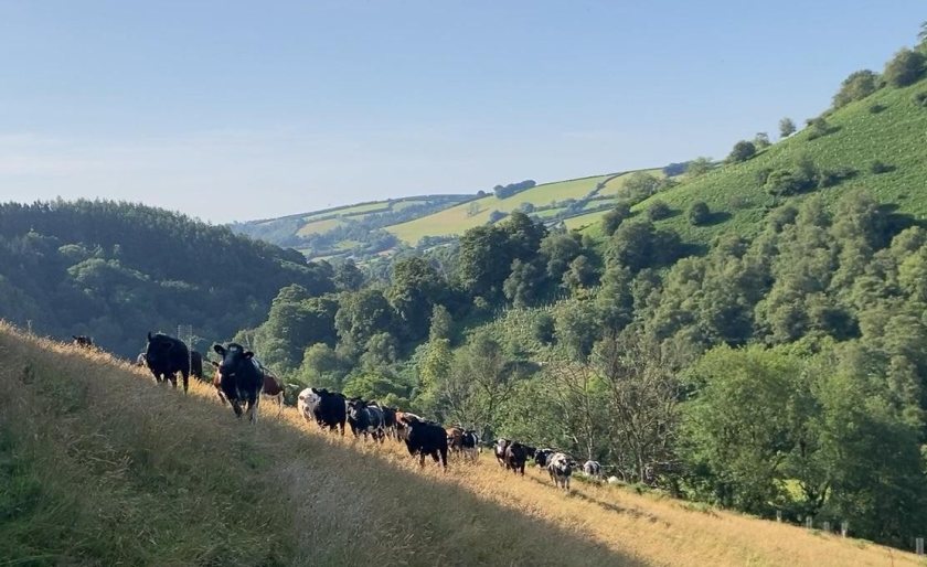 (Photo: Exmoor National Park Authority)